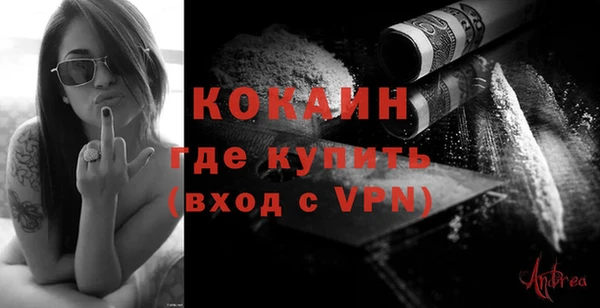 индика Аркадак