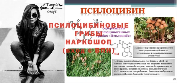 индика Аркадак
